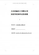 大余松瀛化工有限公司突發(fā)環(huán)境事件應(yīng)急預(yù)案