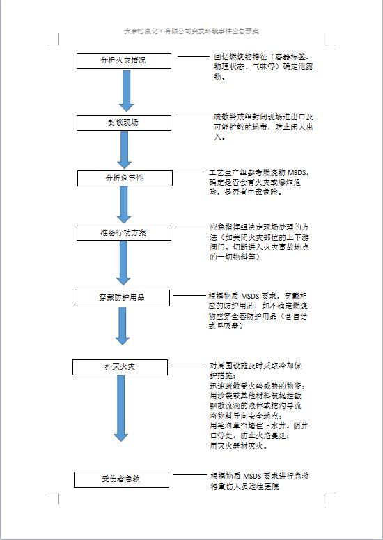 大余松瀛化工有限公司突發(fā)環(huán)境事件應(yīng)急預(yù)案1-28